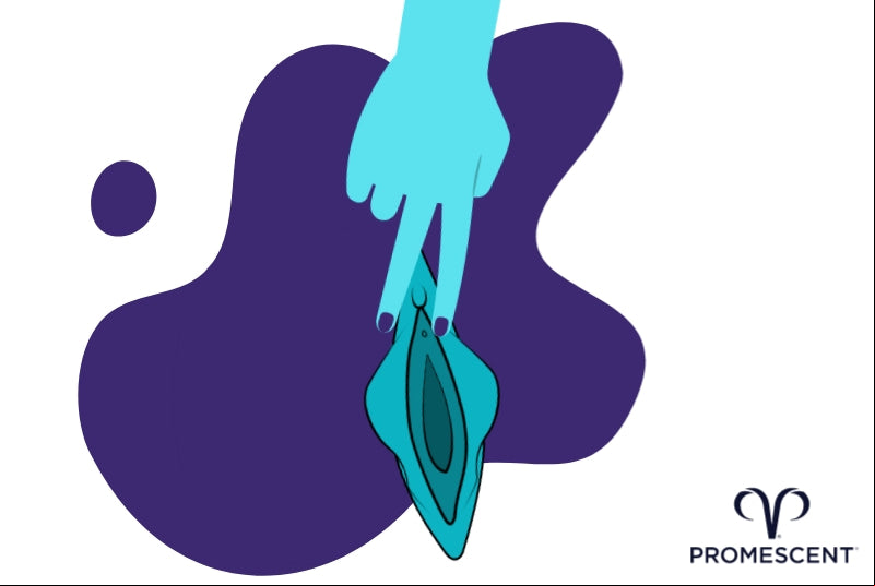 Saddle bdsm dildo